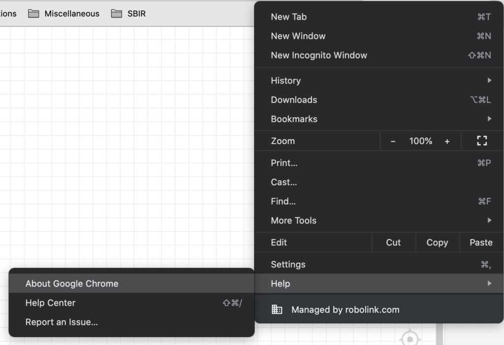 About Google Chrome menu
