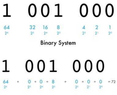 Zumi-Binary System