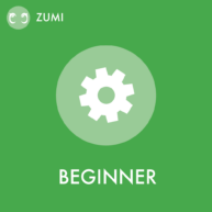zumi_beginner