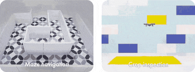 cde-activities-gif1